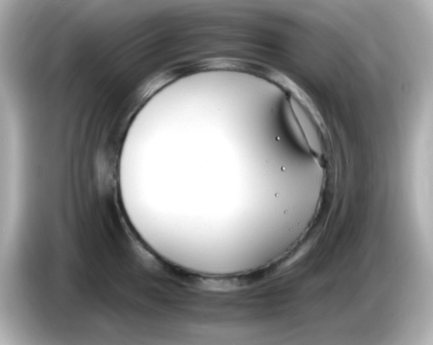 X0000085791049200704091427