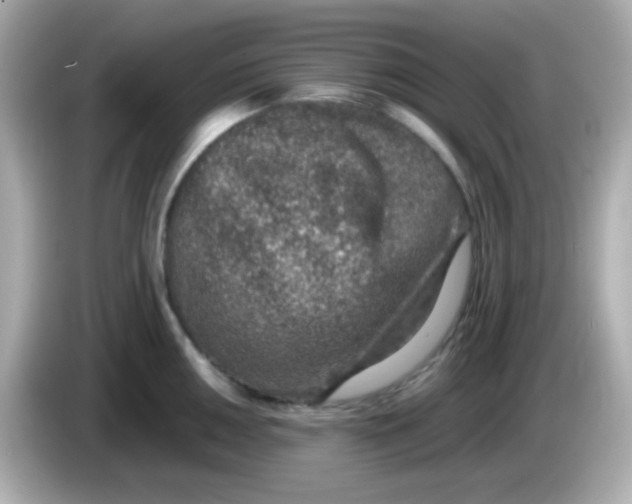 X0000085791050200704091427