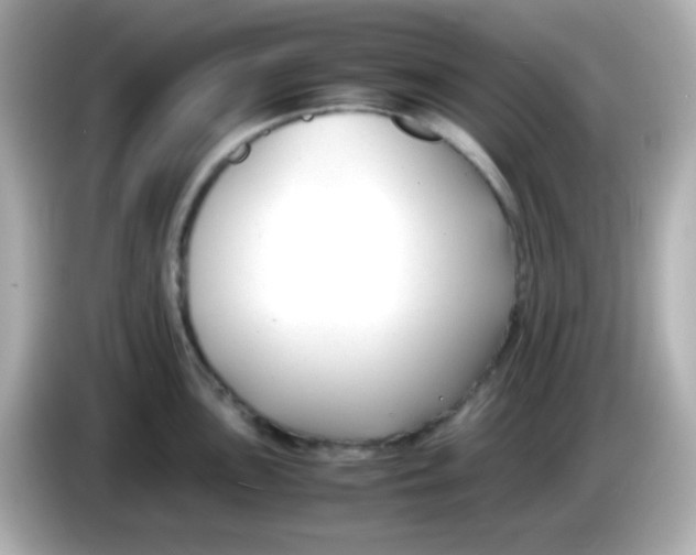 X0000085791051200704091427