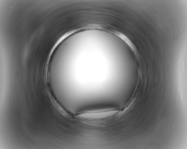 X0000085791052200704091427