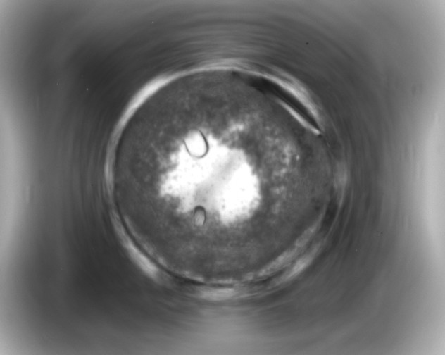 X0000085791054200704091427