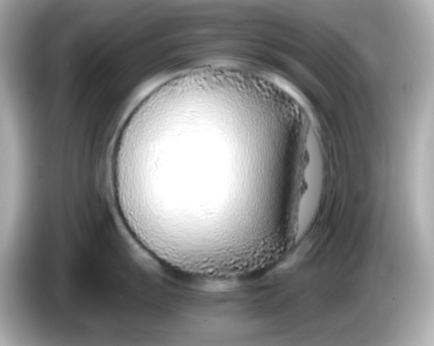 X0000085791055200704091427