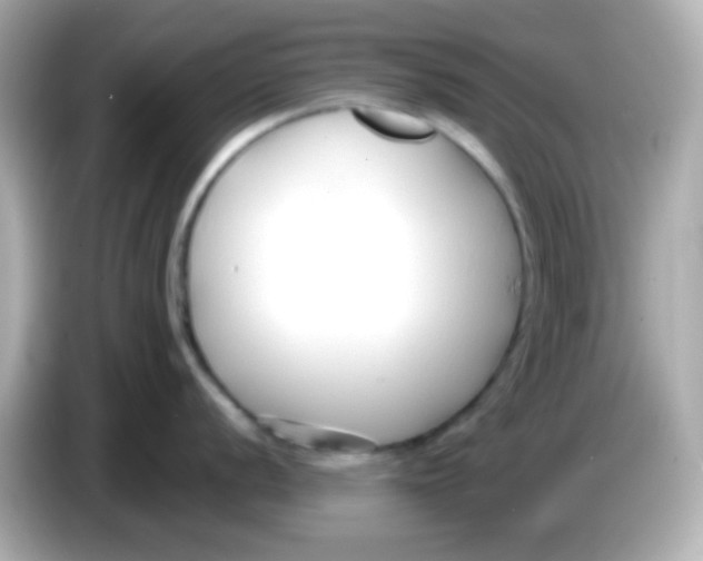 X0000085791056200704091427