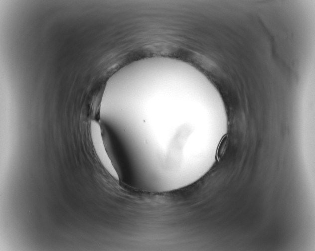 X0000085791058200704091426