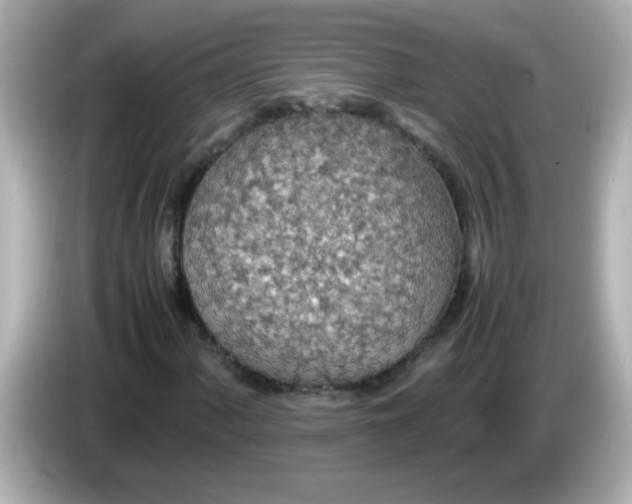 X0000085791060200704091426