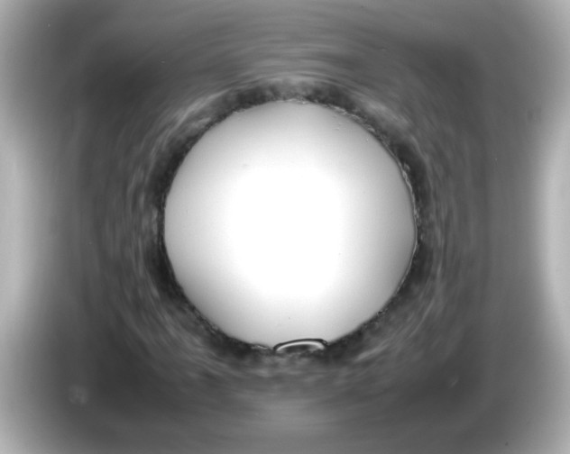 X0000085791061200704091426
