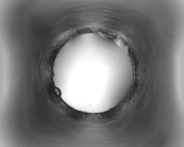 X0000085791062200704091426