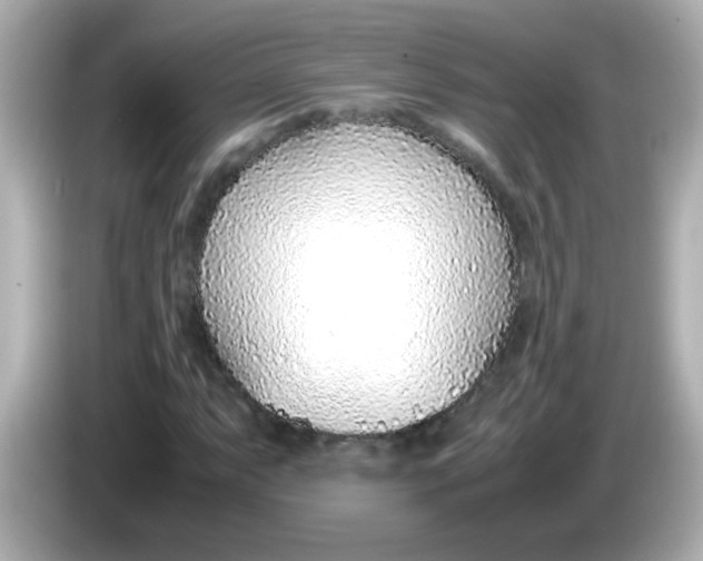 X0000085791063200704091426