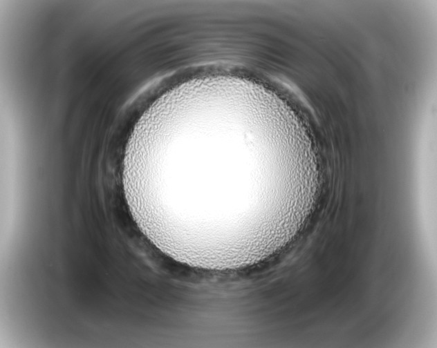 X0000085791064200704091426