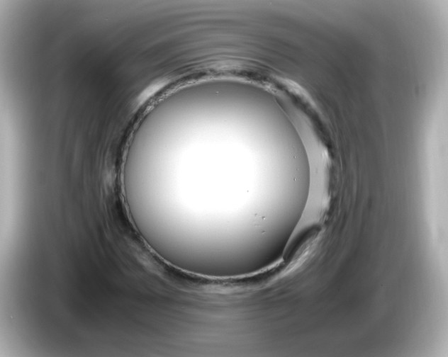 X0000085791065200704091426