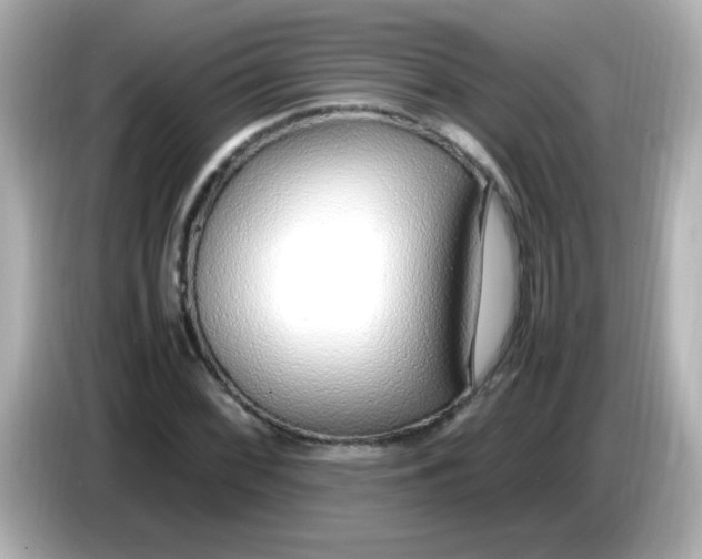 X0000085791068200704091426