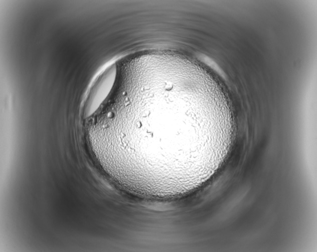X0000085791071200704091426