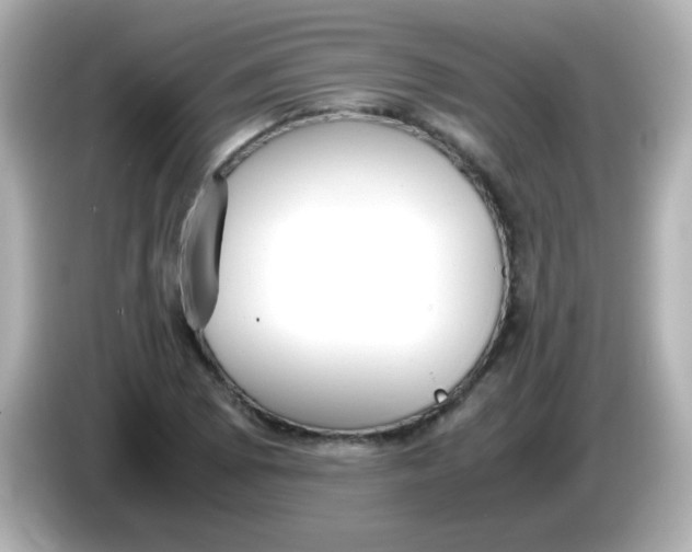 X0000085791073200704091426