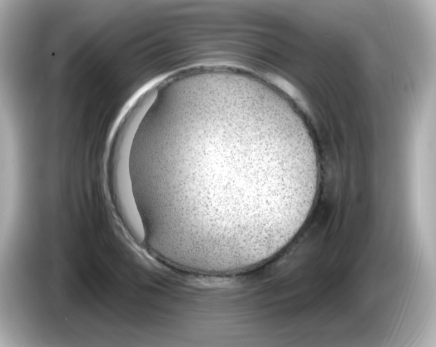 X0000085791076200704091426