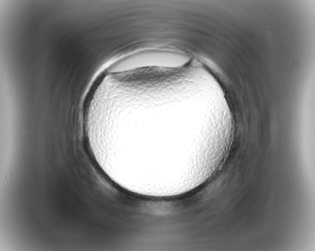 X0000085791079200704091426