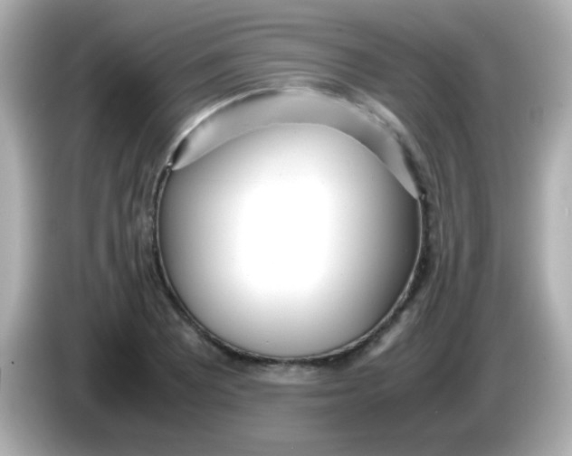 X0000085791081200704091426