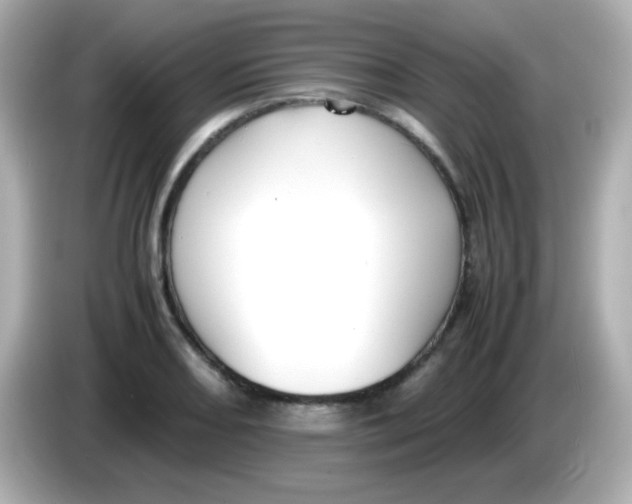 X0000085791082200704091426