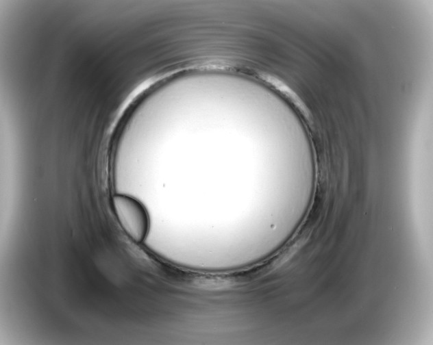 X0000085791083200704091426