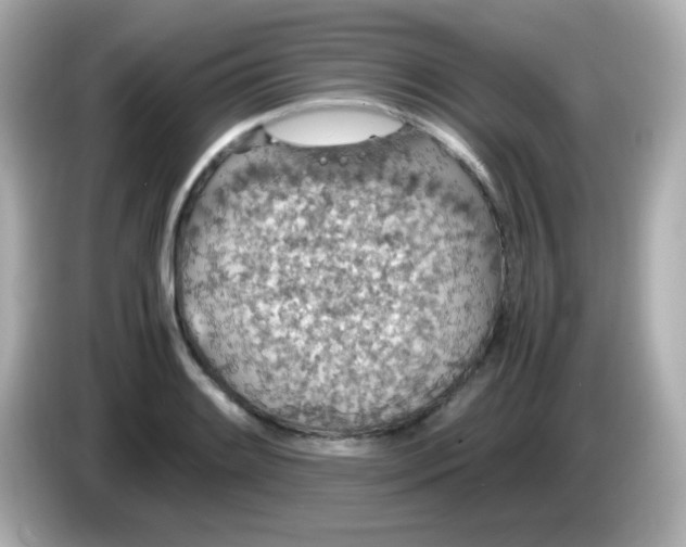 X0000085791084200704091426
