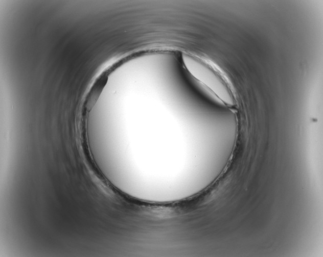 X0000085791085200704091426