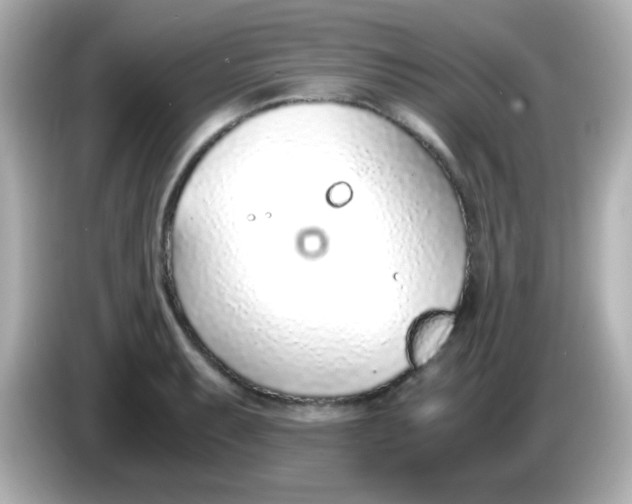 X0000085791087200704091426