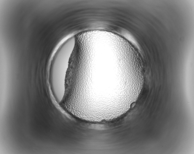 X0000085791088200704091426