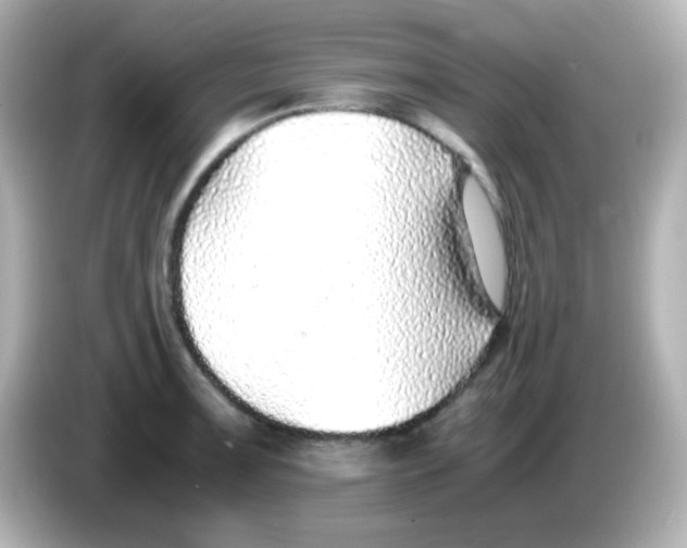 X0000085791091200704091426