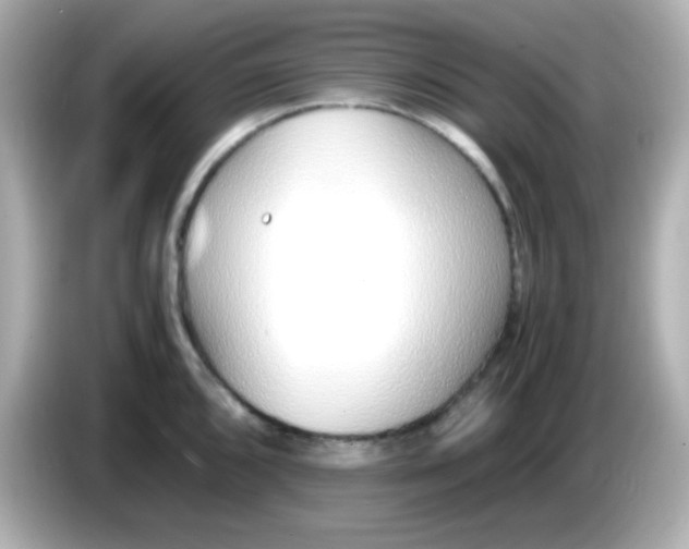 X0000085791096200704091426