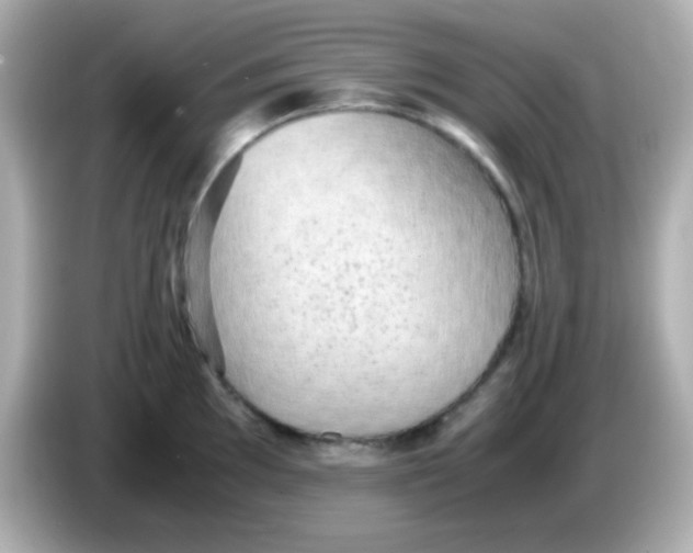X0000085791097200704091426