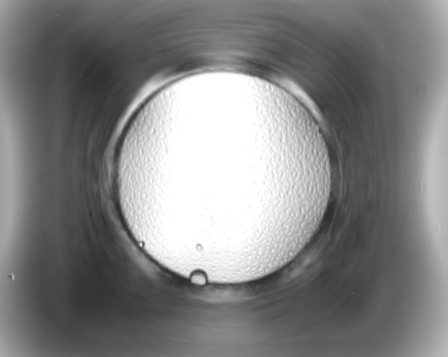 X0000085791099200704091426