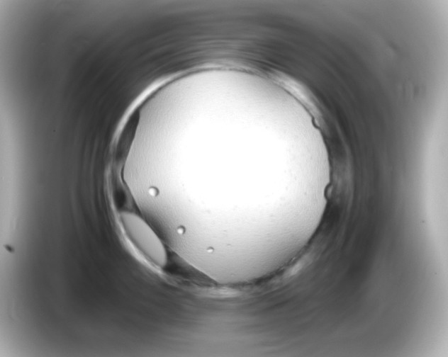 X0000085791100200704091426
