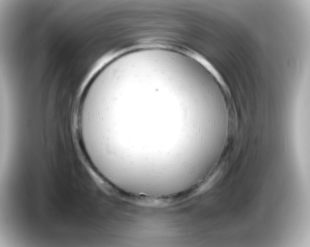 X0000085791101200704091426