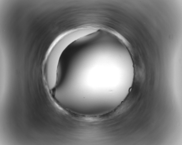 X0000085791102200704091426