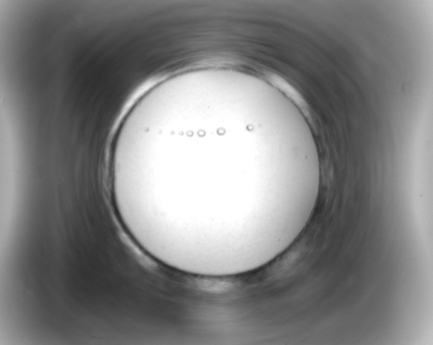 X0000085791103200704091426