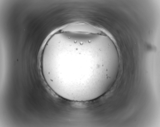 X0000085791104200704091426