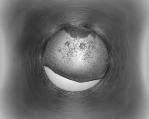 X0000085791106200704091425