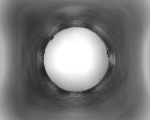 X0000085791107200704091425