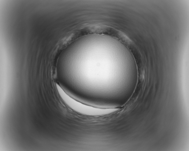 X0000085791108200704091425