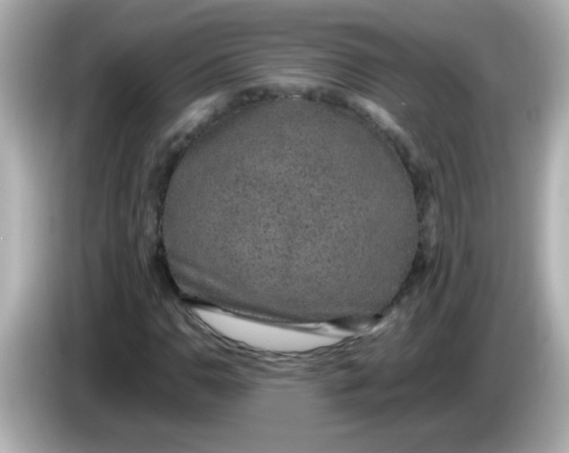 X0000085791110200704091425