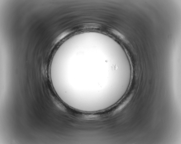 X0000085791113200704091425