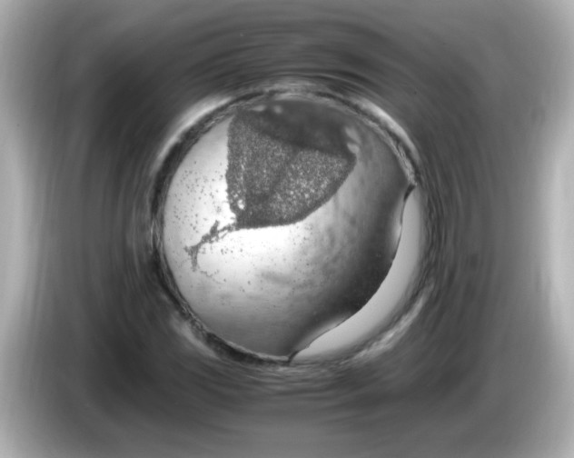 X0000085791117200704091425