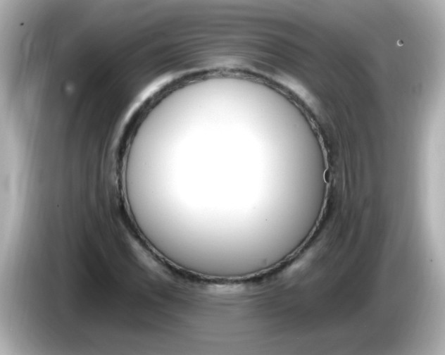 X0000085791118200704091425