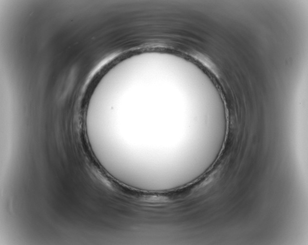 X0000085791119200704091425