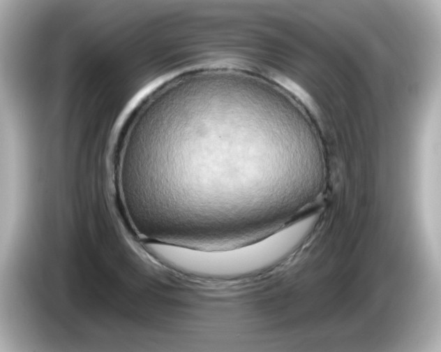 X0000085791120200704091425