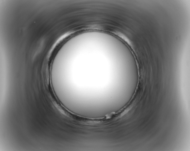 X0000085791123200704091425