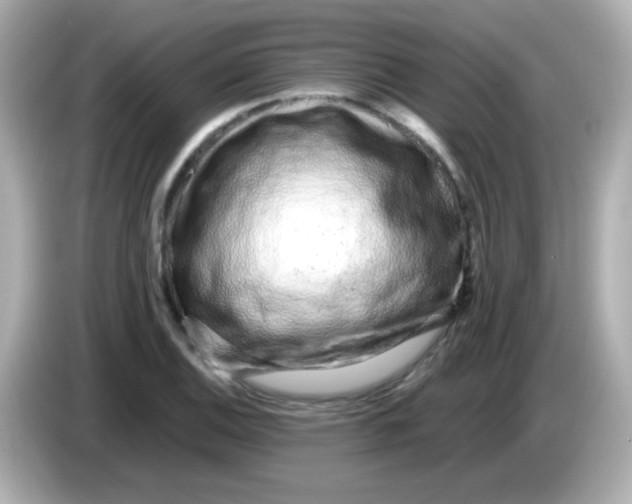 X0000085791124200704091425