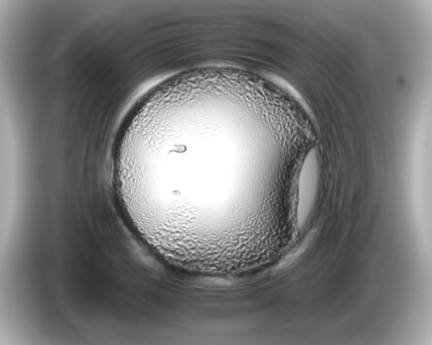 X0000085791125200704091425