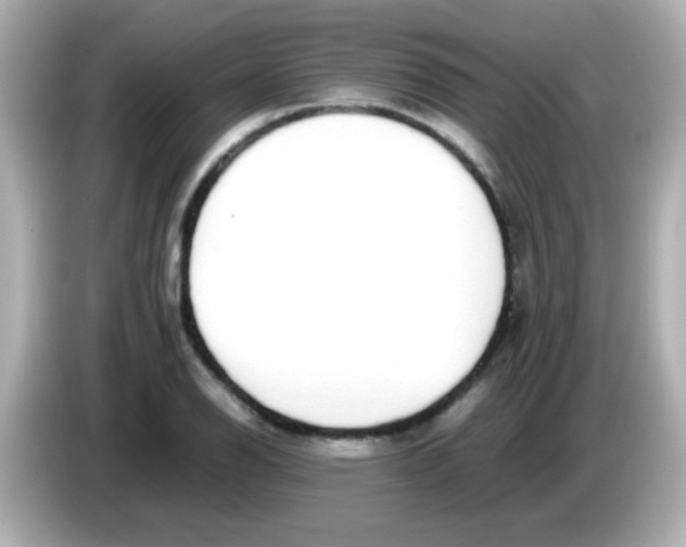X0000085791126200704091425