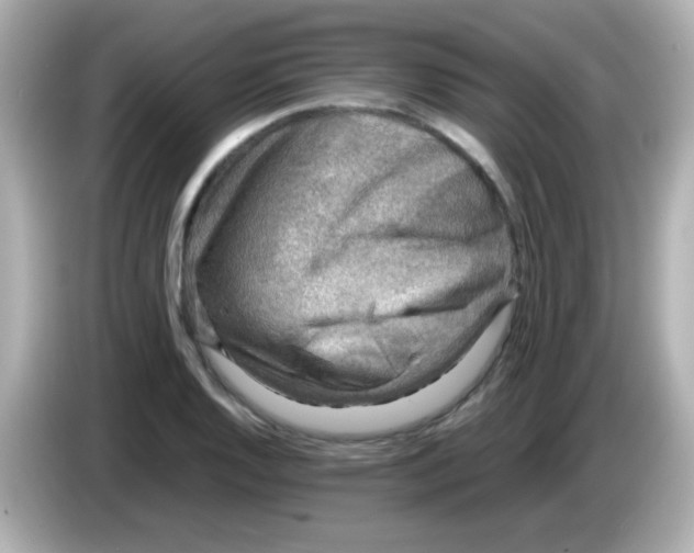 X0000085791128200704091425