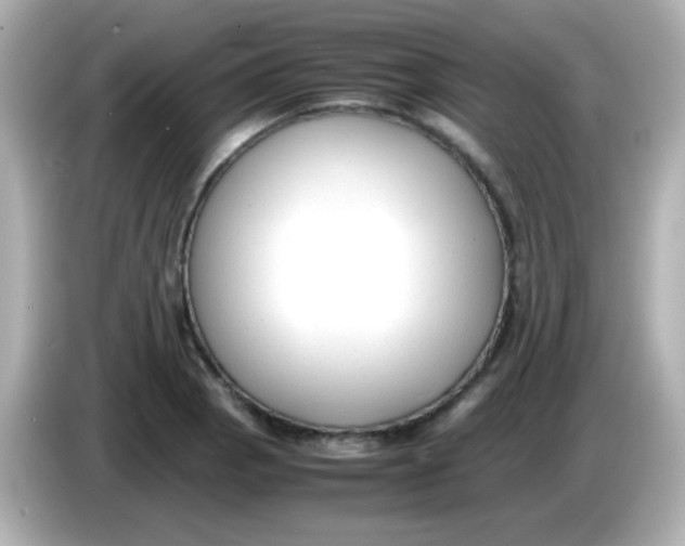 X0000085791129200704091425